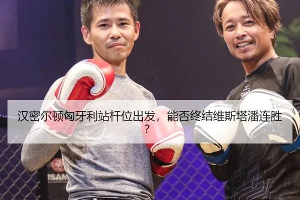 汉密尔顿匈牙利站杆位出发，能否终结维斯塔潘连胜？