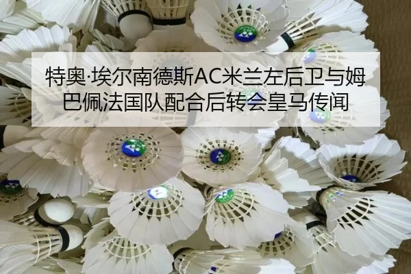 te-ao-ai-er-nan-de-si-mi-lan-zuo-hou-wei-yu-mu-ba-pei-fa-guo-dui-pei-he-hou-zhuan-hui-huang-ma-chuan-wen-3-686.jpg
